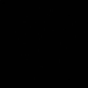 Meet your Posher, Ali